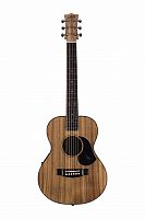 Maton EMBW-6